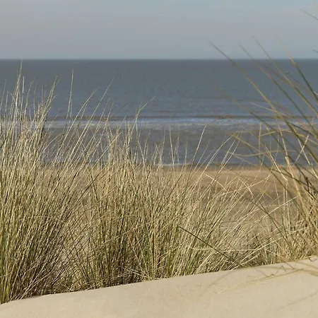 Seagarden By Valdemosa