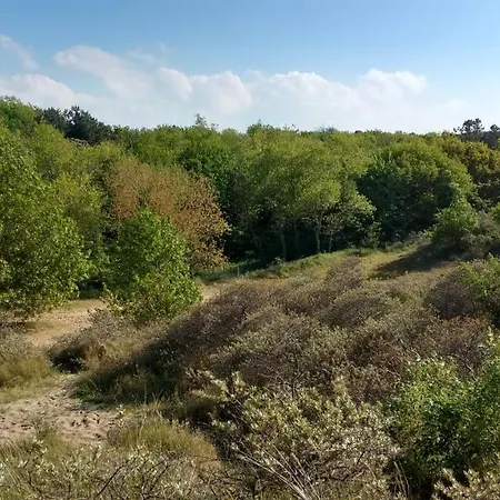 Διαμέρισμα Seagarden By Valdemosa De Haan