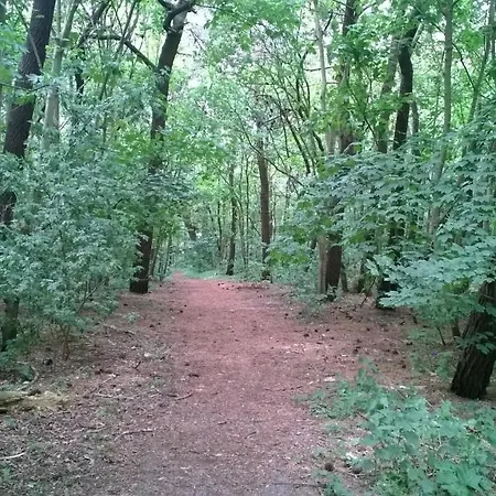 Seagarden By Valdemosa * De Haan