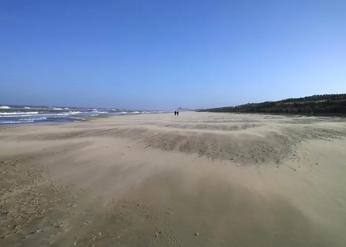 Appartement Seagarden By Valdemosa *