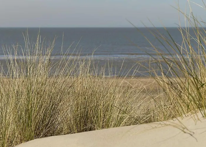 Seagarden By Valdemosa