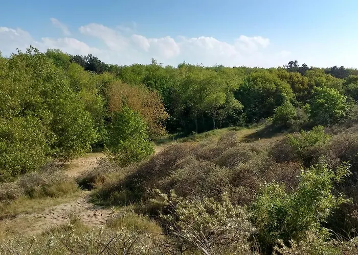 Appartement Seagarden By Valdemosa De Haan