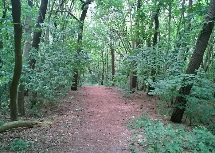 Seagarden By Valdemosa * De Haan